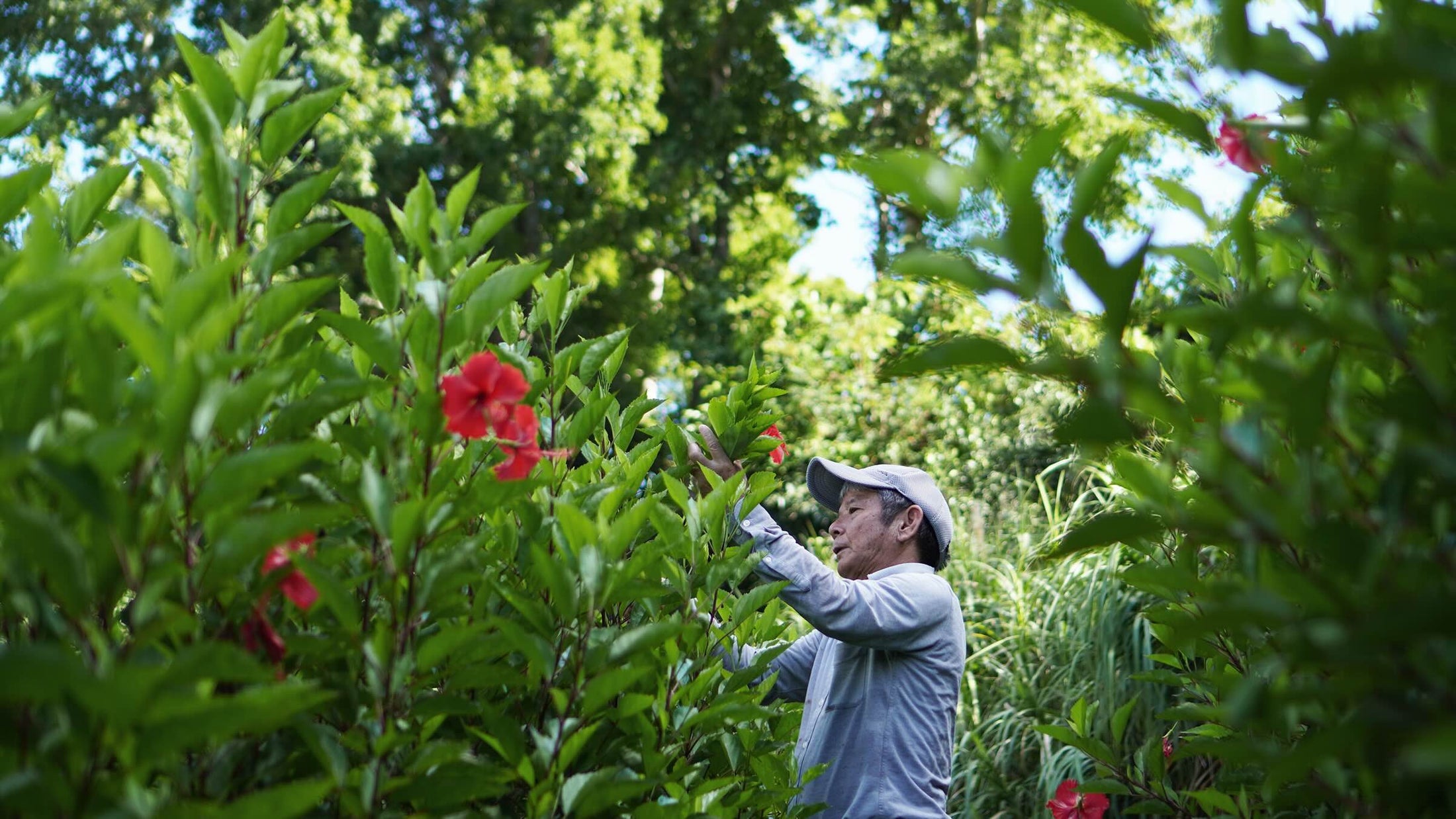 諸喜田さんの作業風景