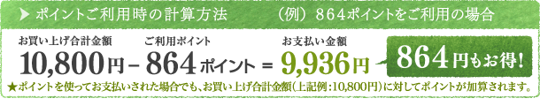 ポイントの使い方